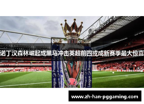 诺丁汉森林崛起成黑马冲击英超前四或成新赛季最大惊喜