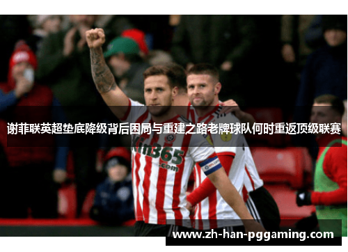 谢菲联英超垫底降级背后困局与重建之路老牌球队何时重返顶级联赛 谢菲联英超垫底降级背后困局与重建之路老牌球队何时重返顶级联赛