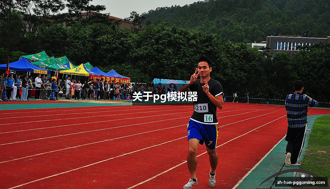 关于pg模拟器